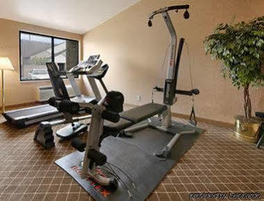 Americas Best Value Inn Romulus/Detroit Airport Facilities photo